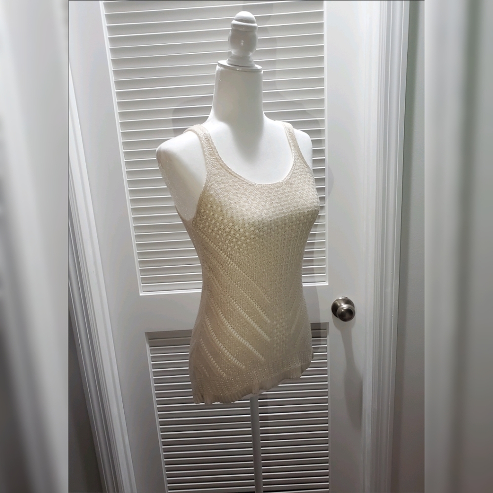 American Eagle Outfitters Metallic Sheen Embroidered Tank Top size S/P